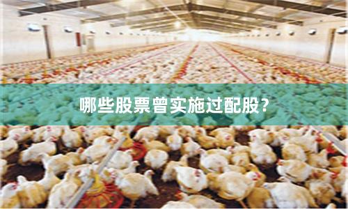 哪些股票曾实施过配股？