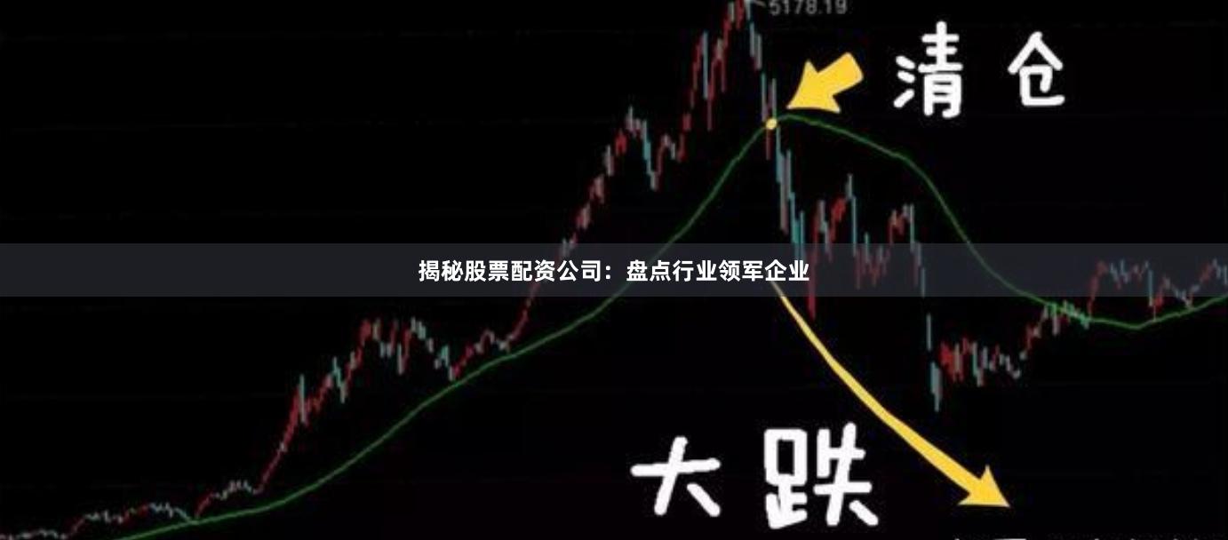 揭秘股票配资公司：盘点行业领军企业