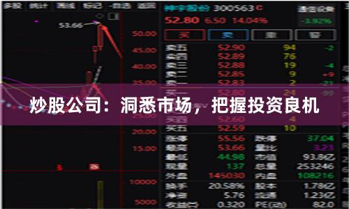 炒股公司：洞悉市场，把握投资良机