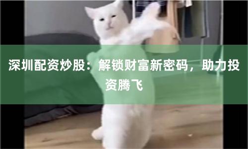 深圳配资炒股:解锁财富新密码,助力投资腾飞