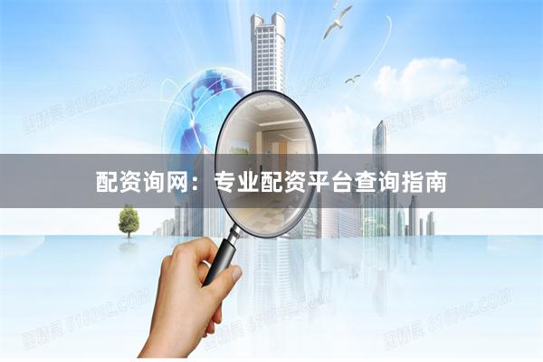 配资询网：专业配资平台查询指南